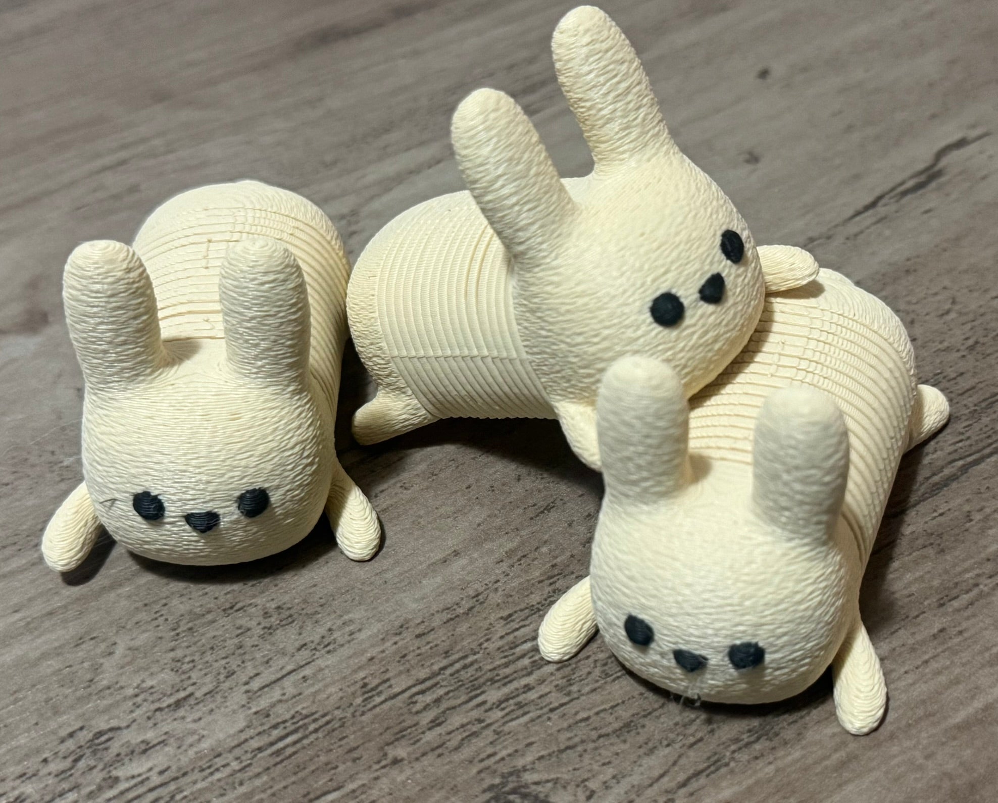 Springy Bunny Fidget
